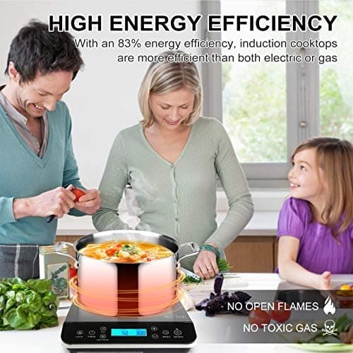 Duxtop Portable Induction Cooktop Burner with LCD