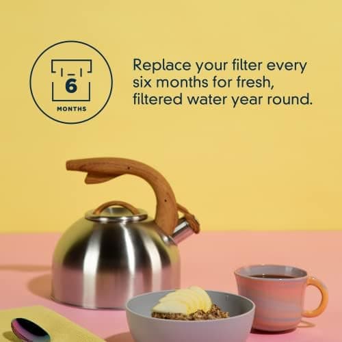 everydrop by Whirlpool Ice and Water Refrigerator Filter 1